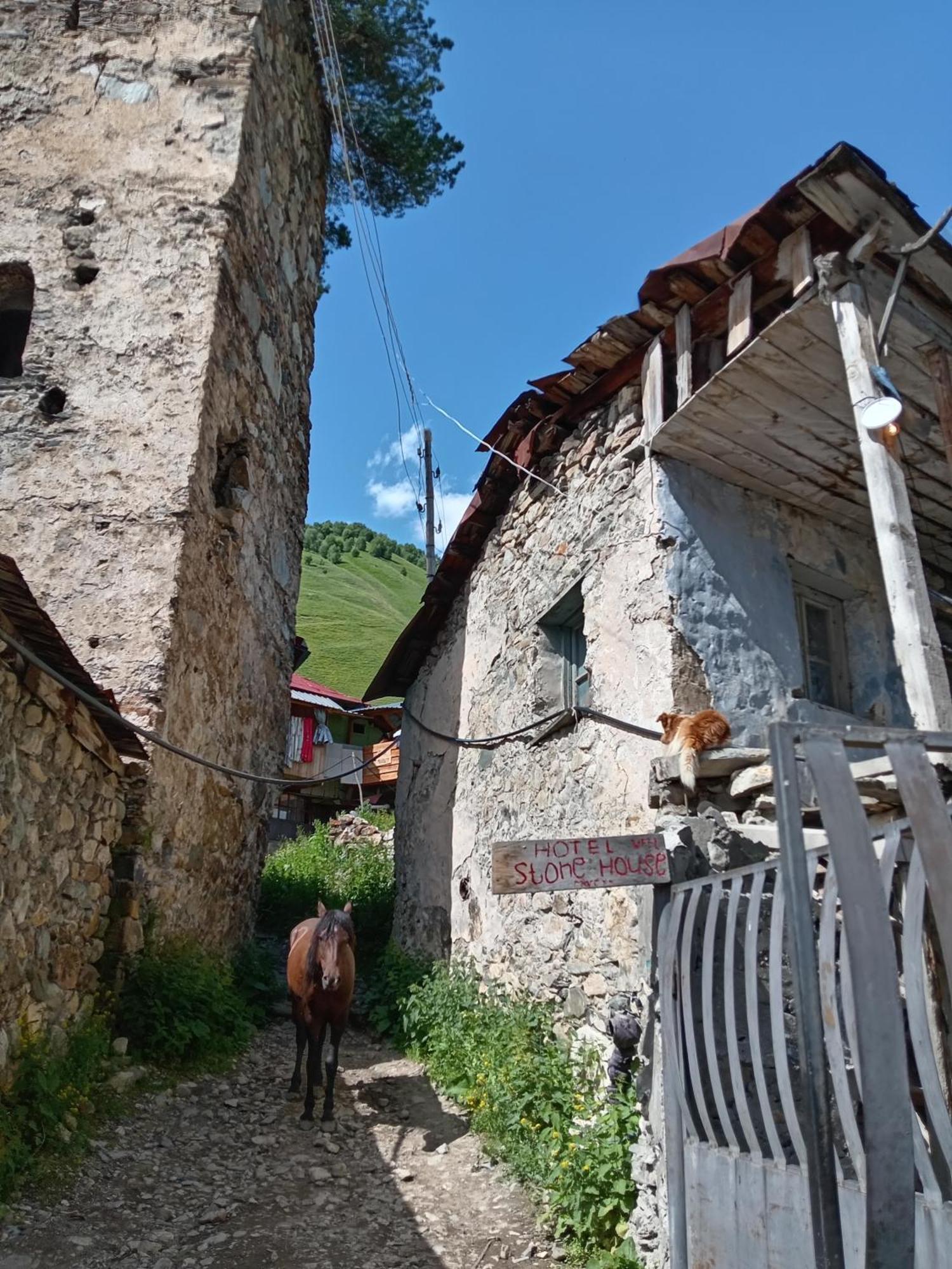 Отель Гостевой дом Stone House Marexi Адиши Экстерьер фото